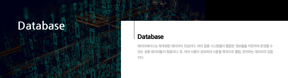 Oracle(WDP)